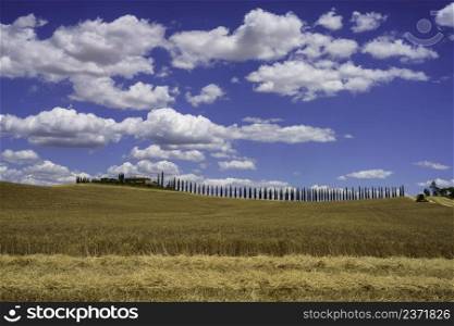 Rural landscape along the Cassia road near Castiglione, Siena province, Tuscany, Italy, at summer