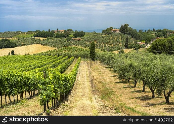 Rural landscape along the road from Certaldo to Gambassi Terme, Florence, Tuscany, Italy, at summer