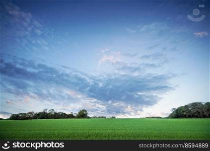 Rural landscape at dawn with green crops under a dramatic sunset sky