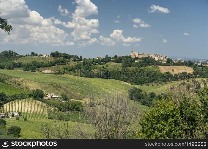 Rural landscape at summer near Monterubbiano, Fermo, Marches, Italy
