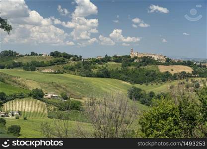 Rural landscape at summer near Monterubbiano, Fermo, Marches, Italy