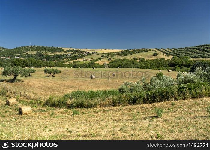 Rural landscape at summer near Tuscania, Viterbo, Lazio, Italy