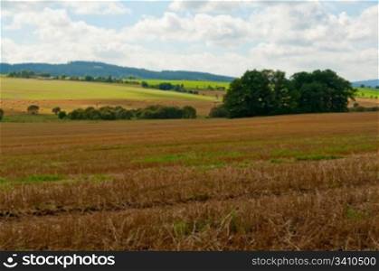 Rural Landscape - Harvested Agricultural Field and Blue Sky