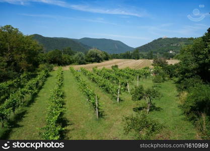 Rural landscape in Lazio near Labro, Rieti province, Italy, at summer
