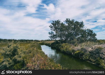 rural landscape in the delta del ebro with the agriculture of the area and its rivers that end up in the sea