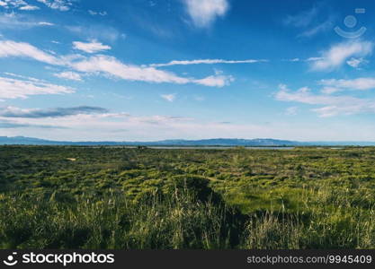 rural landscape in the delta del ebro with the agriculture of the area and its rivers that end up in the sea