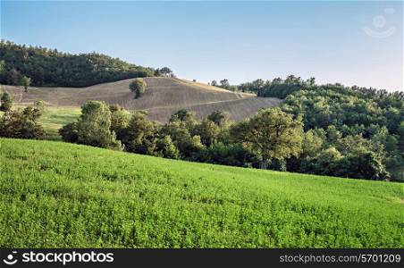 Rural landscape in Tuscany Italian