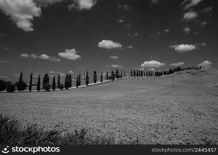 Rural landscape in Val d Orcia, Tuscany, Italy, at summer. Black and white