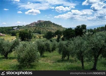 Rural landscape in Val Teverina, Terni province, Umbria, Italy, near Montecchio and Lugnano at summer