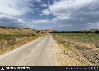 Rural landscape near Bernalda, Matera, Basilicata, Italy, at summer.