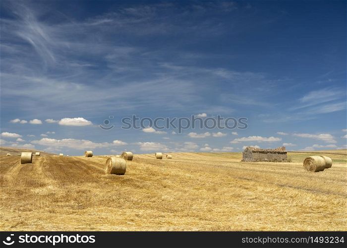 Rural landscape near Genzano di Lucania, Potenza, Basilicata, Southern Italy, at summer.