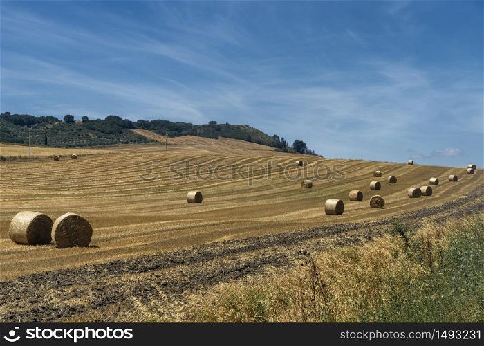 Rural landscape near Gravina di Puglia, Bari, Apulia, Southern Italy, at summer.