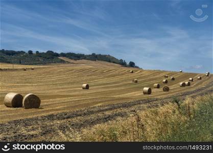 Rural landscape near Gravina di Puglia, Bari, Apulia, Southern Italy, at summer.