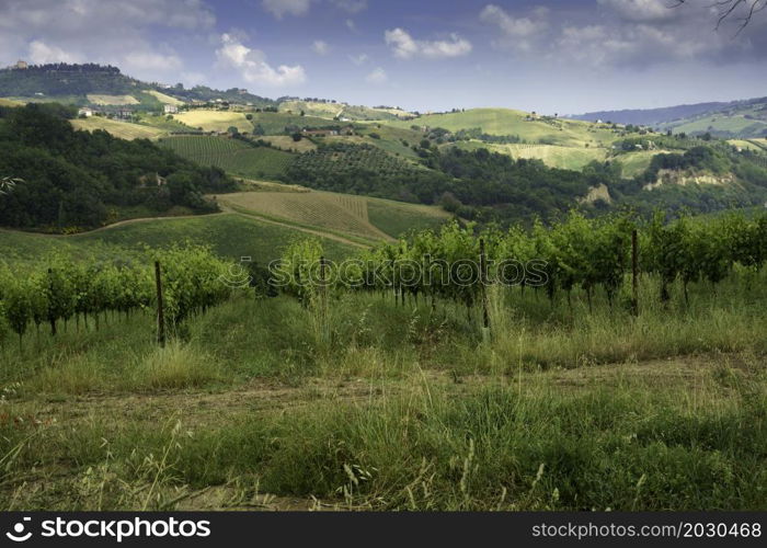 Rural landscape near Monterubbiano and Ripatransone, between Fermo and Ascoli Piceno provinces, Marche, Italy, at springtime