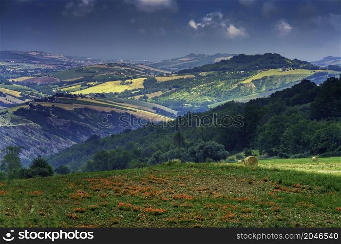 Rural landscape near Monterubbiano and Ripatransone, between Fermo and Ascoli Piceno provinces, Marche, Italy, at springtime