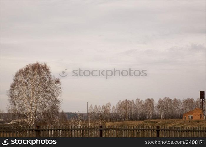 Rural landscape. Near Novosibirsk, Siberia. October 2006
