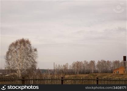 Rural landscape. Near Novosibirsk, Siberia. October 2006