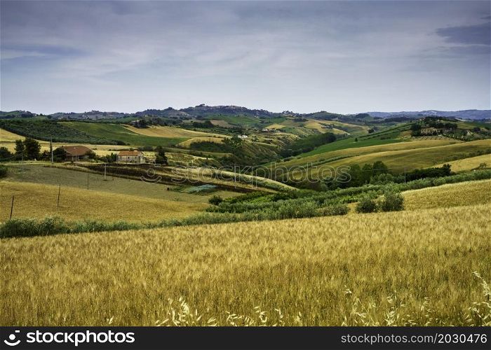 Rural landscape near Offida, in Ascoli Piceno province, Marche, Italy, at springtime