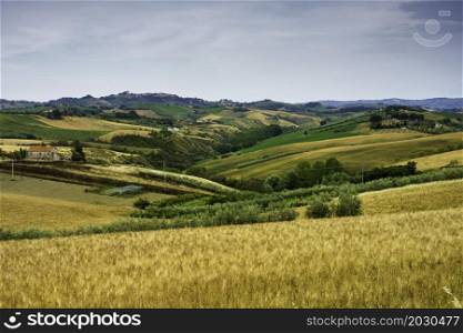 Rural landscape near Offida, in Ascoli Piceno province, Marche, Italy, at springtime
