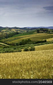 Rural landscape near Offida, in Ascoli Piceno province, Marche, Italy, at springtime