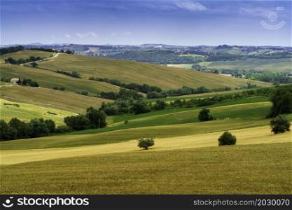 Rural landscape near Santa Maria Nuova and Osimo, Marche, Italy, at springtime