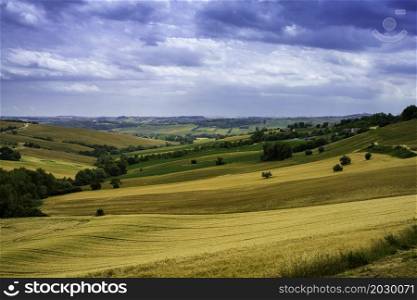 Rural landscape near Santa Maria Nuova and Osimo, Marche, Italy, at springtime