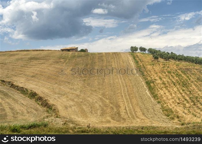 Rural landscape near Serracapriola, Foggia, Apulia, Southern Italy, at summer