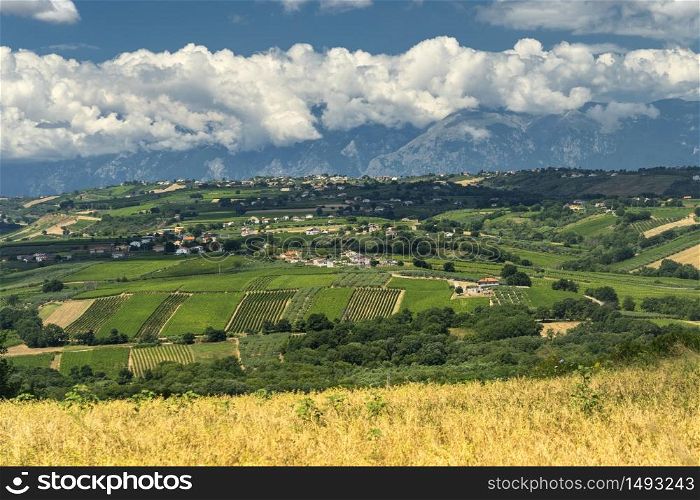 Rural landscape near Vasto, Chieti, Abruzzo, Italy at summer