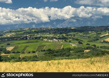 Rural landscape near Vasto, Chieti, Abruzzo, Italy at summer