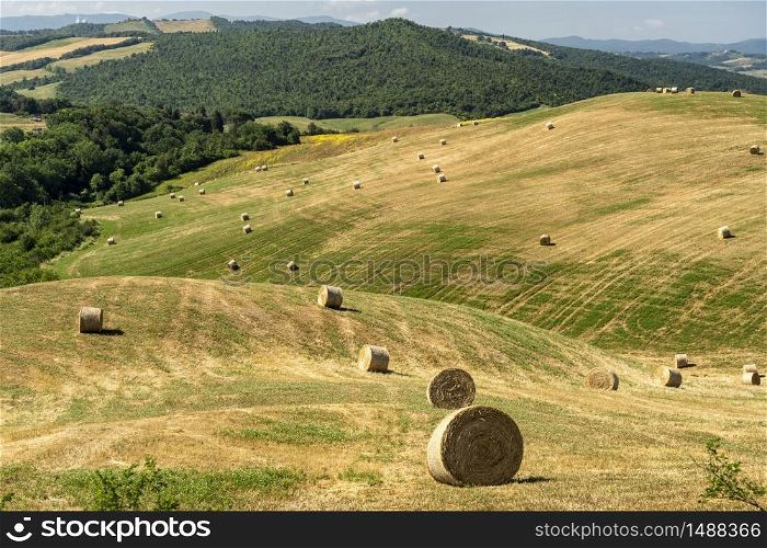 Rural landscape near Volterra, Pisa, Tuscany, Italy, at summer. Fields