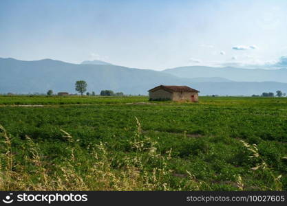 Rural landscape on the Fucino, L Aquila province Abruzzo, Italy, at summer