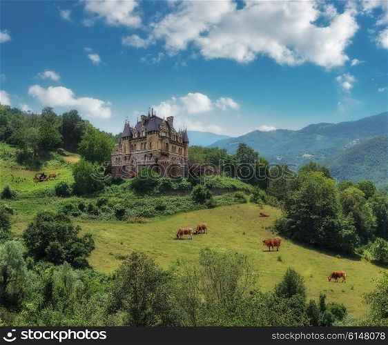 Rural landscape with a castle and grazing cows