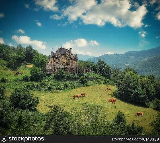 Rural landscape with a castle and grazing cows. Toned