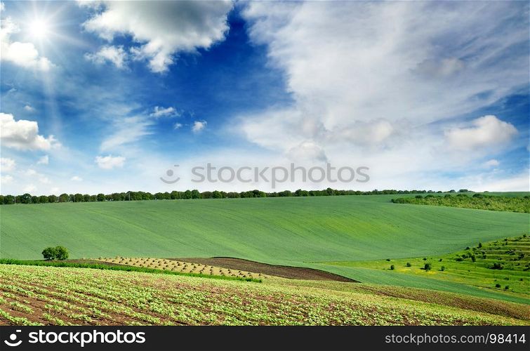 rural landscape with a green spring field lit by the rays of a bright sun