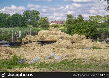 Rural landscape with a scattering of hay in the foreground