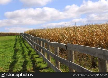 Rural landscape with blue cloudy sky and wooden fence