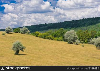 rural landscape with blue sky and clouds on it. rural landscape
