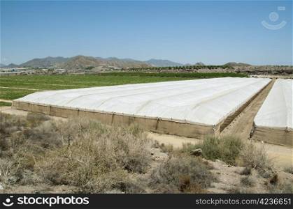 Rural landscape with cultivation in greenhouse.