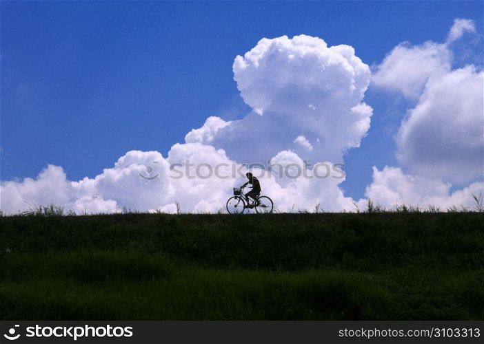 Rural landscape with cyclist