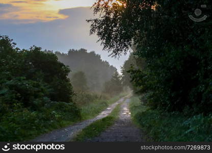 Rural landscape with empty countryside dirt wet road. Dirt road leading through foggy forest in Kemeri. Puddles on the country road in Latvia. Puddles on the country woods road in misty morning.