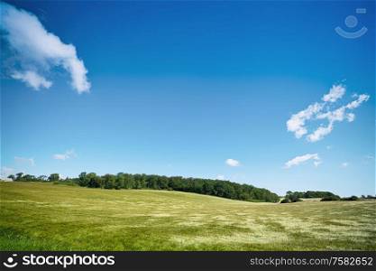 Rural landscape with fields under a blue sky and a green forest in the background
