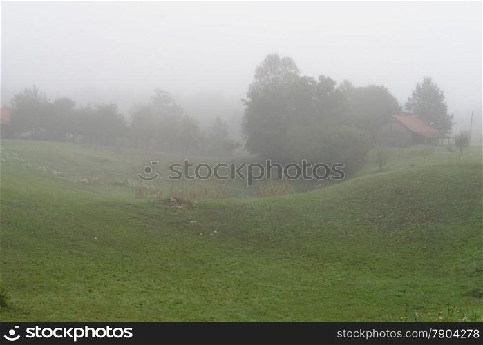 Rural landscape with fog in the morning