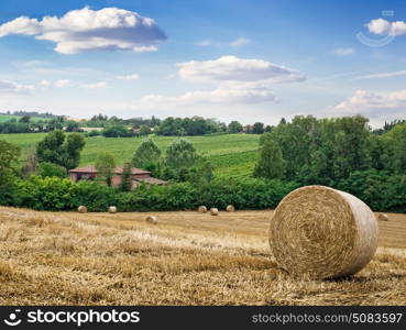 Rural landscape with rolls of hay on the field in Tuscany of Italy