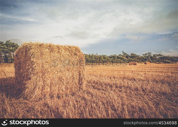 Rural landscape with straw bales on a countryside field