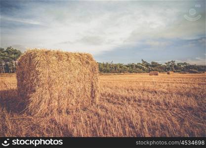 Rural landscape with straw bales on a countryside field