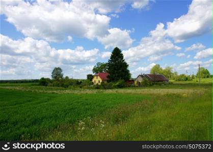 Rural landscape with the cloudy sky and green plants