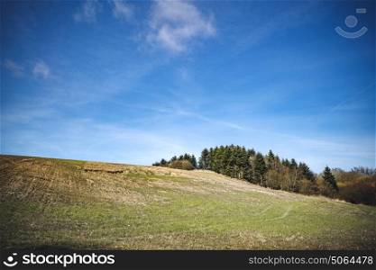 Rural landscape with trees on a hill in the spring with blue sky