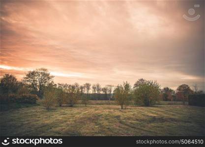 Rural landscape with trees on a lawn in the sunset in the fall with orange light on the sky