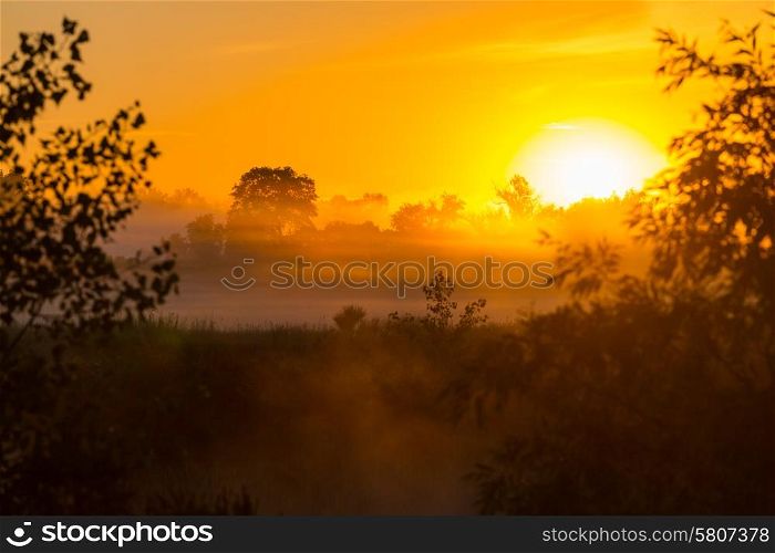 Rural landscapes at sunrise