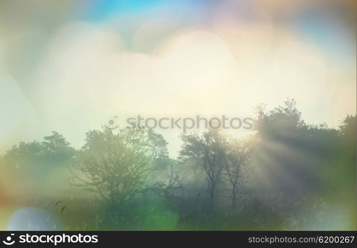 Rural landscapes at sunrise